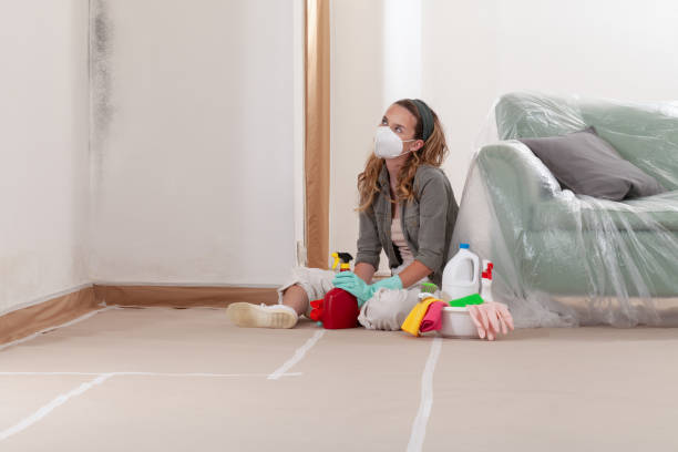 Reliable Mold Remediation contractor in Williamsburg, PA by WQB Mold Removal